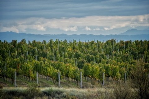 People in tasting room